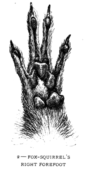 Soubor:1902-06 p015 02.png