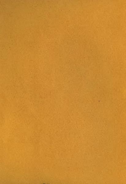 Soubor:z lesni rise 1925.djvu