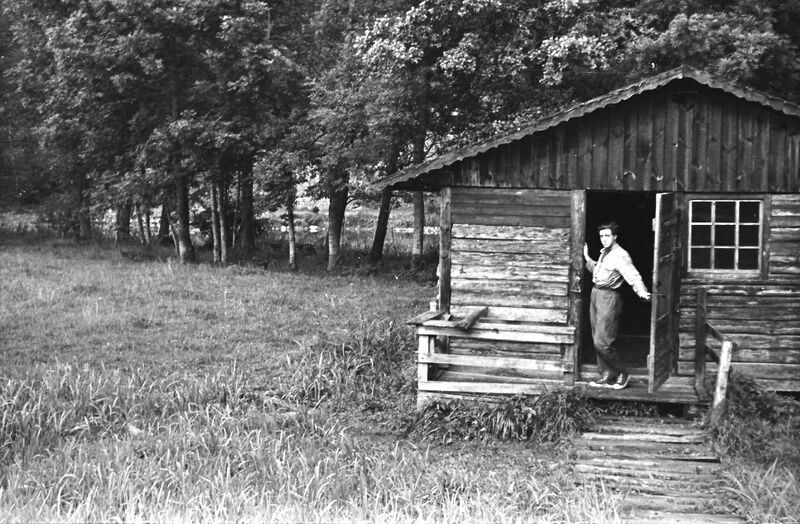 Soubor:Josef Šedina - Blesk.jpg
