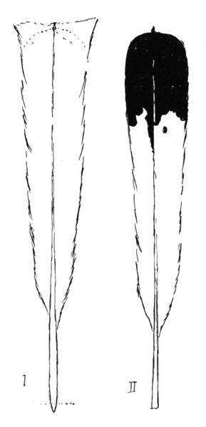 Soubor:1902-07 p007 01.png