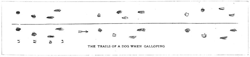 Soubor:1902-05 p015 07.png