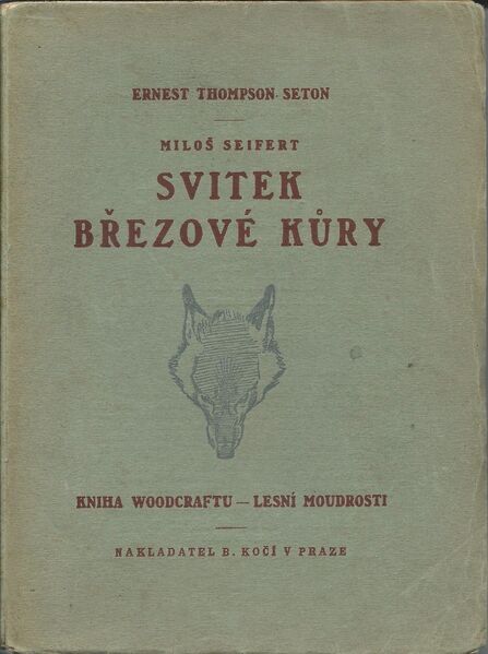 Soubor:svitek březové kůry.jpg