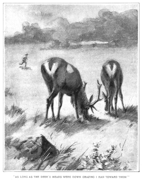 Soubor:1902-11 p015 01.png