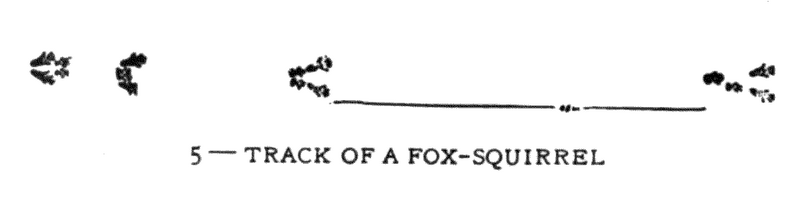 Soubor:1902-06 p015 05.png