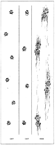 Soubor:1902-05 p015 04.png