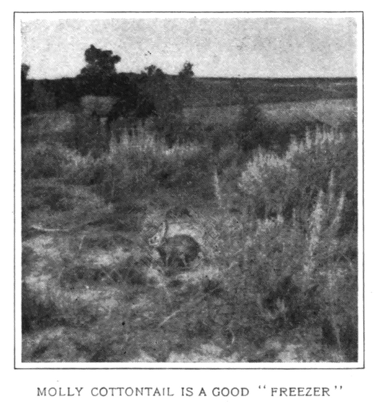 Soubor:1902-11 p015 02.png