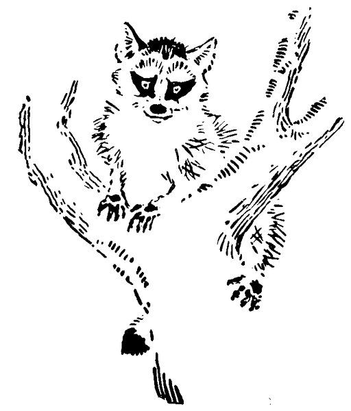 Soubor:1916-06 p235 00.png