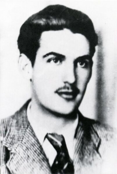 Soubor:Zvonimir Runko.jpg