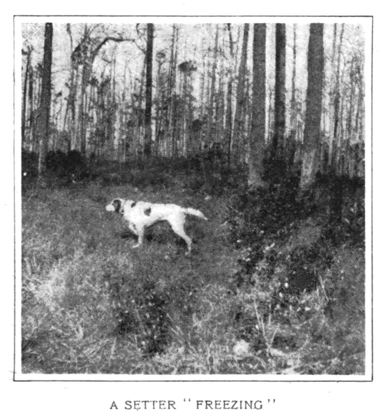Soubor:1902-11 p015 03.png