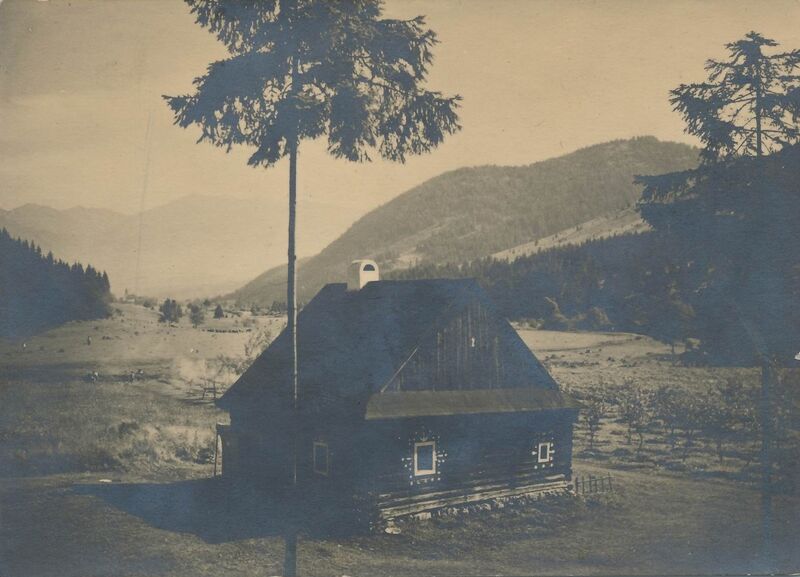 Soubor:Walden.jpg