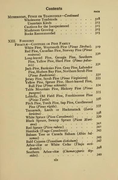 Soubor:book 1922.djvu