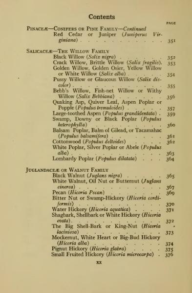 Soubor:book 1922.djvu