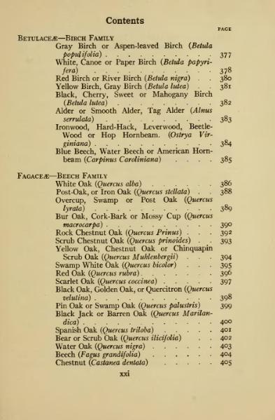Soubor:book 1922.djvu