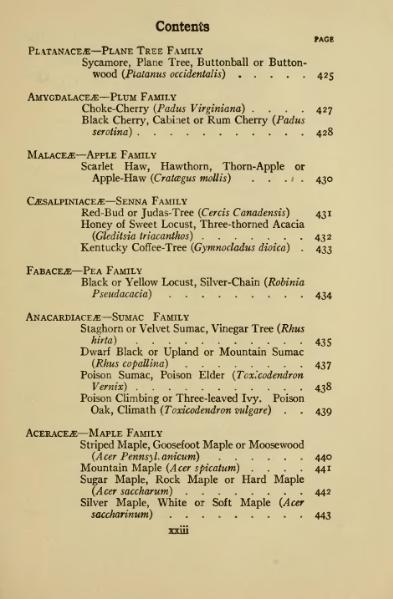 Soubor:book 1922.djvu