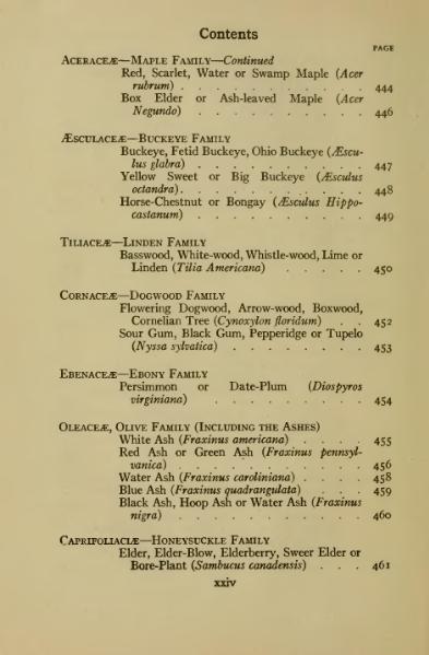Soubor:book 1922.djvu