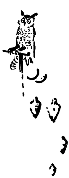 Soubor:1916-06 p234 00.png