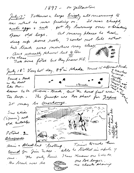 Soubor:1902-08 p23 00.png