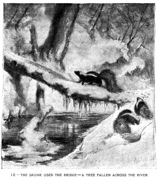Soubor:1902-06 p015 10.png