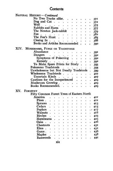 Soubor:book 1913.djvu
