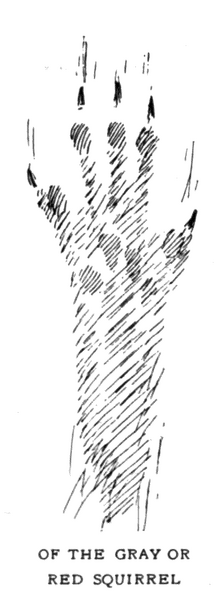 Soubor:1902-05 p041 03.png