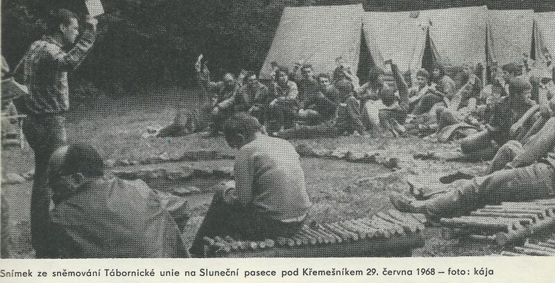 Soubor:Sluneční paseka.jpg