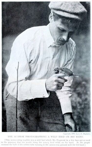 Soubor:dugmore 1901.jpg
