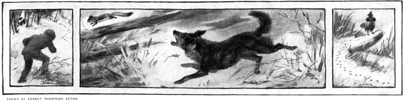 Soubor:1902-05 p015 00.png