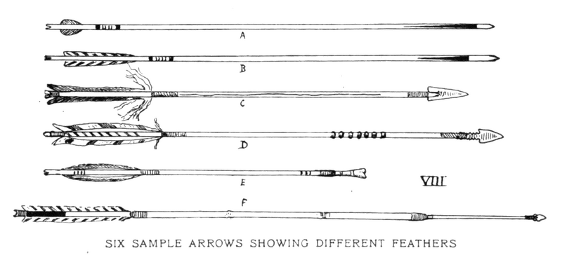 Soubor:1902-08 p016 10.png