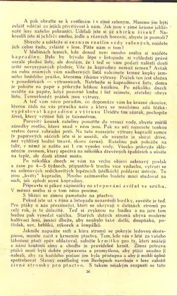 Soubor:vatra-22-3.djvu