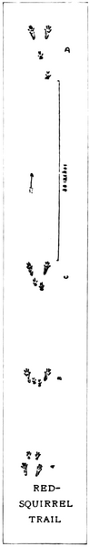 Soubor:1902-05 p015 08.png