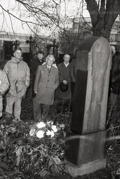 Soubor:Racek Pfeiffer.jpg
