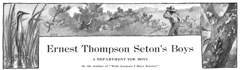 Soubor:1902-11 p015 00.png